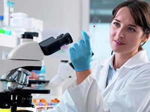 Gifted Prints: Scientist viewing human blood sample on glass slide in laboratory