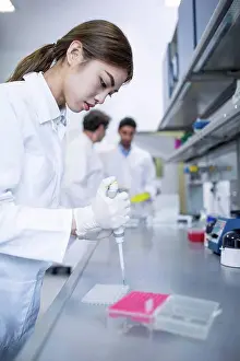 Assistant Prints: Scientist working in lab