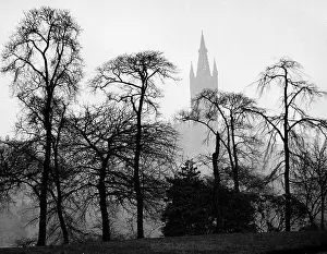 Bare Tree Prints: Scotland, Glasgow, Glasgow University, silhouettes of trees on the foreground