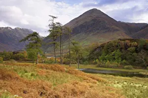 Autumnal Prints: Scotland, Highland, Glen Sheil