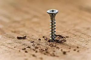 Produce Prints: A screw turned in wood with wood chips