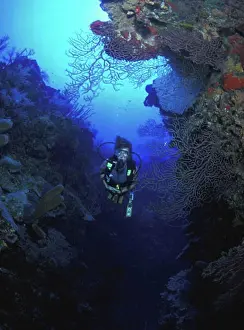 Flippers Prints: Scuba diver in gap between rocks
