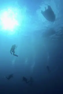 Scuba Diver Prints: Scuba Divers Near Aldabra Atoll