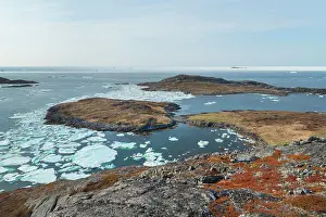 Pack Ice Prints: Sea ice off Fogo Island, Newfoundland and Labrador, Canada