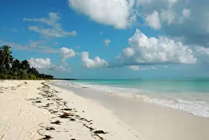 Indian Ocean Prints: Seascape. Zanzibar. United Republic of Tanzania