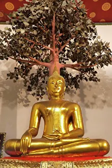 Orient Prints: Seated Buddha under the Bodhi Tree at Wat Pho Temple in Bangkok in Thailand