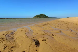 Summer Days Prints: Seaweed weashed up on shore that is collected by Tsonga people to be sold as uMuthi (medicine)