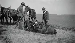 The Second Boer War, 1899-1902 Officers of the Lothians and Berwickshire Yeomanry tending their horses