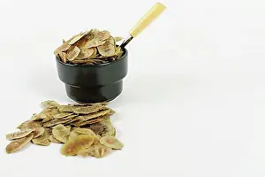Studio Shots Prints: Senna alexandrina pods. Cassia senna