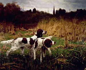 Animal Prints: Setters Afield, Autumn by Percival Leonard Rosseau, (1859-1937)