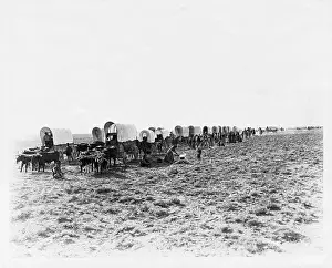 Large Group Of People Prints: Settlers in covered wagons moving out west