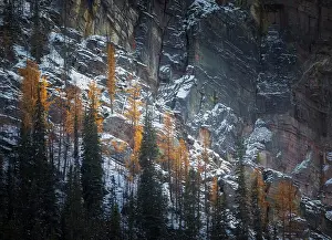 Hike Prints: Severe Canadian landscape with harsh stony cliff covered with snow and green and yellow coniferous forest