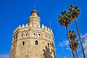 Historic District Prints: Seville Torre del Oro tower in Sevilla Andalusia Spain