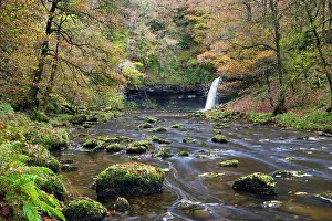 Autumn Prints: Sgwd Gwladus waterfall surrounded by autumnal foliage
