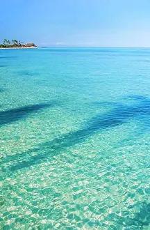 Pure Prints: Shadow of palm tree in tropical water surrounding Plantation Island - Fiji