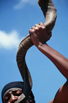 Natives Prints: Shamwari Game Reserve