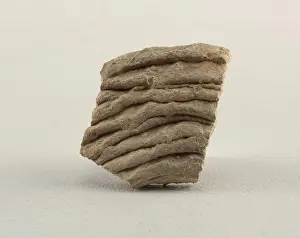 Ceramics Prints: shard, Earthenware, Two pottery shards