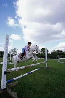 Sseditor Aa Prints: Shetland Pony jumping over a hurdle