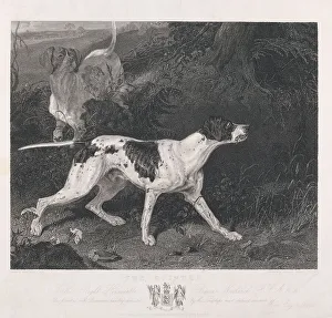 Finished Prints: Shooting Pointer Print Commenced John Scott 1774-1828
