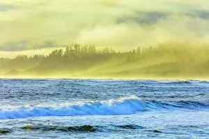 Land Scape Prints: Shoreline along Pacific Rim National Park, Canada