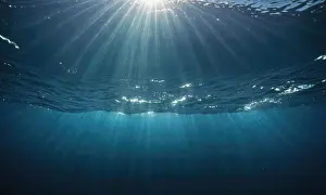 Mystery Prints: A shot taken underwater looking up towards the surface