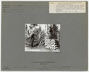 Signs - New Hampshire. Photographs Relating to National Forests