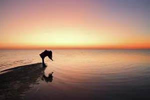 Puberty Prints: Silhouette young girl pointing at reflection in water at sunset