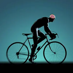 Cycling Prints: Silhouetted male figure cycling a bicycle with internal anatomy of the brain visible within the head