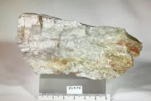 Mineral Prints: Sillimanite. minerals. North America; USA; Delaware; New Castle County; Brandywine Springs