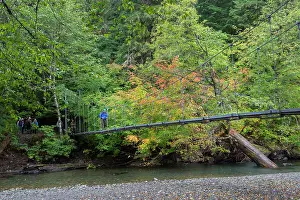 2016 Prints: A simple suspension bridge (also rope bridge)