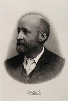 Sons Prints: Sir William Maddock Bayliss. Photogravure after J. Russell & Sons