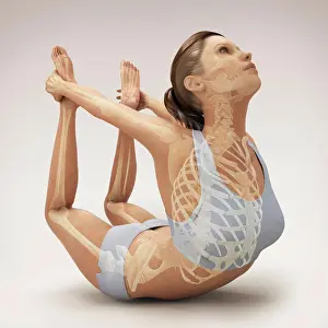 Flexible Prints: Skeleton layered over a female body in bow pose showing skeletal alignment in this particular yoga posture
