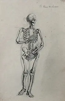 Medici Prints: A skeleton in the pose of the Venus de Medici. Pen and ink drawing