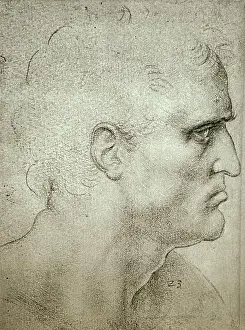 Vinci Prints: Sketch titled The head of St Bartholomew by Leonardo da Vinci