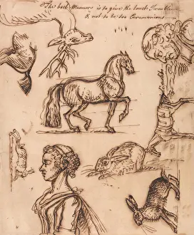 Genre Subject Prints: Sketches of a Hare, Horse, Stag