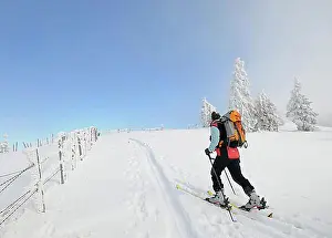 Ski hiker ascending, Mt. Unterberg, Lower Austria, Austria, Europe
