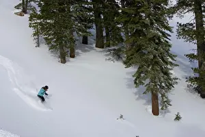 Descent Prints: A skier descends a snowy slope through deep powder on a beautiful day in Kirkwood