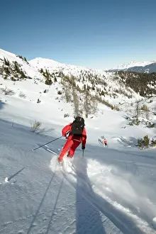 Skier Prints: Skier in powdersnow slope, Flachau, Salzburger Land, Austria