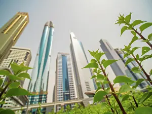 Staedtisch Prints: Skyscrapers against the background of flowering flowers on Sheikh Zayed Road in Dubai