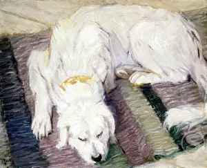 Sleep Prints: Sleeping Dog (Liegender Hund) 1909 Franz Marc (1880-1916/German)