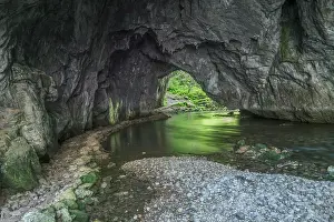 Spring Time Prints: Slovenia, Inner Carniol, Karst