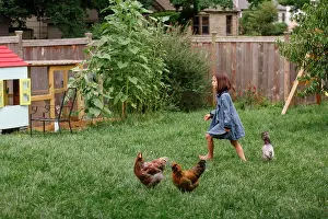 Columbus Prints: A small barefoot girl walks in garden with flock of backyard chickens