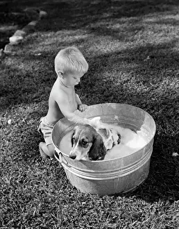 Children Prints: Small boy washing dog in bowl in garden