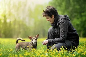 1 Person Prints: Small dog and his owner crouched in a field full of yellow flowers, Italy, Europe