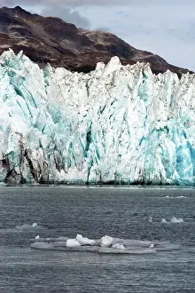 Solid Prints: Small icebergs fill the bay in front of Aialik Glacier at Kenai Fjords National Park Alaska