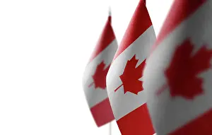 Made Prints: Small national flags of the Canada on a white background Small national flags of the Canada on a white background
