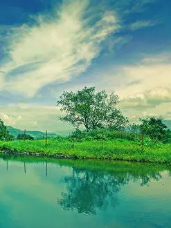 Greenery Prints: Small water dam Small water dam