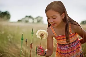 Oneperson Only Prints: Smiling young girl picking a dandelion seed head in a grassy meadow