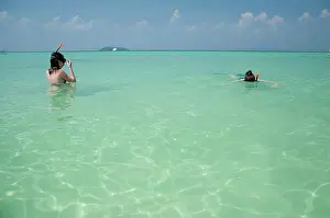 snorkeling in the tropical ocean, phi phi island thailand