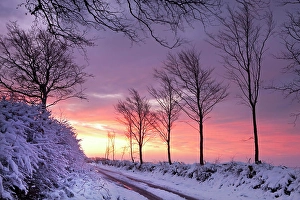 Quaint Prints: Snow covered country lane at dawn